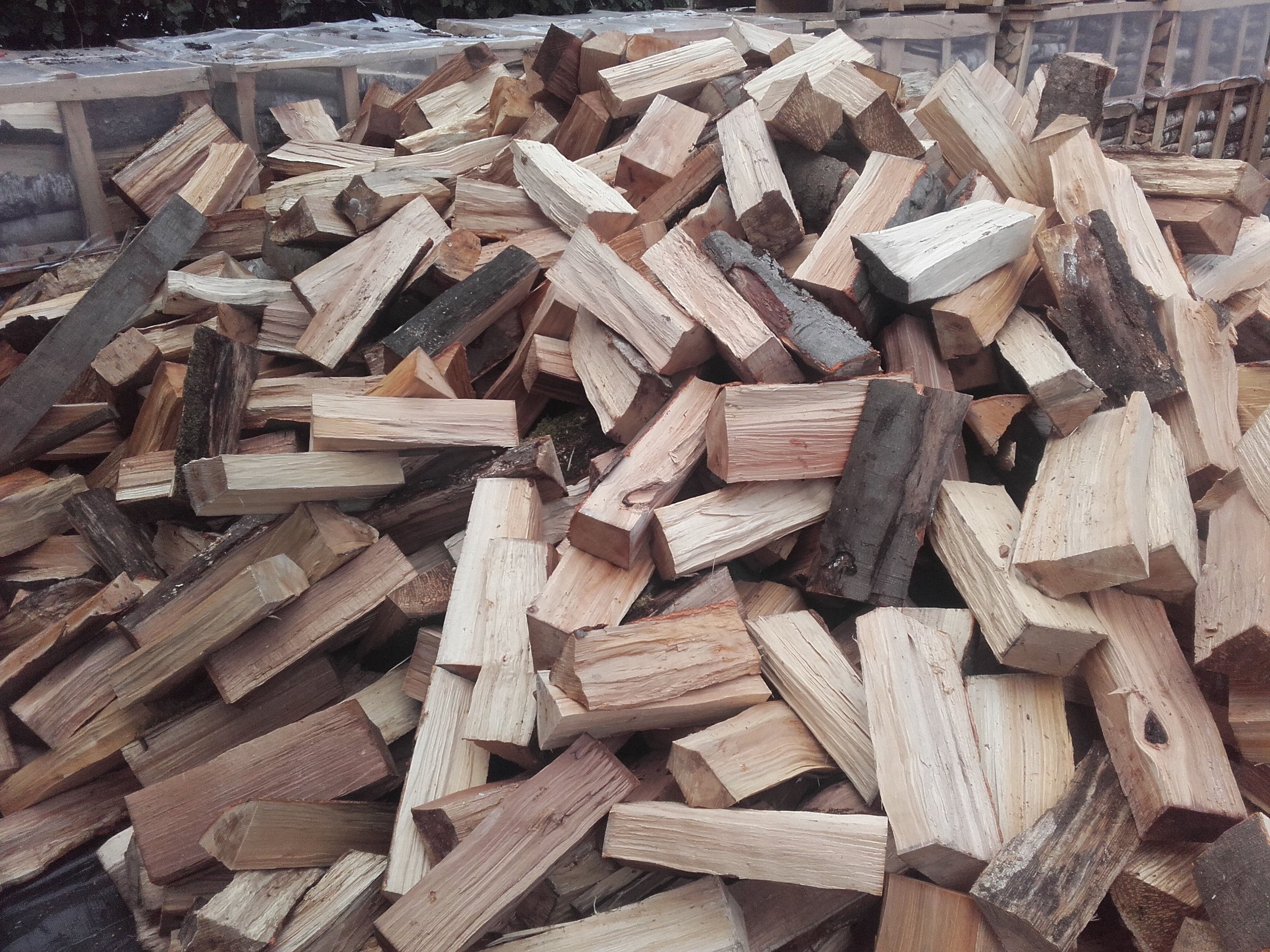 Lauw raket nietig brandhout | eco-moreels.be